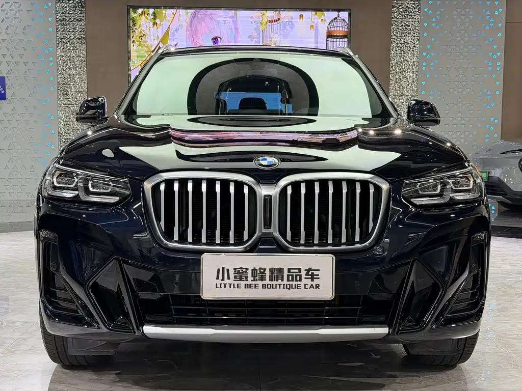 BMW X3 — миниатюра 2