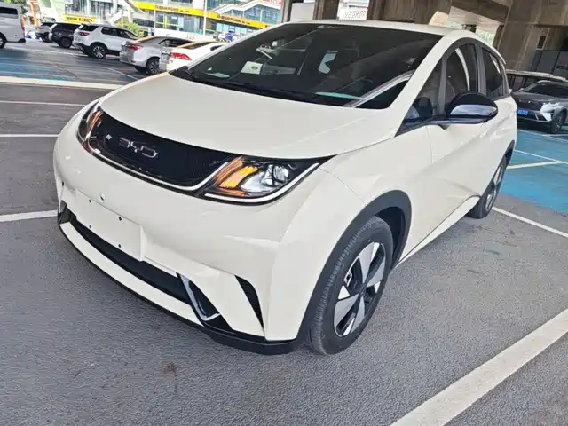 2023 BYD Dolphin