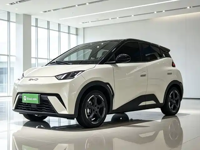 2024 BYD Seagull