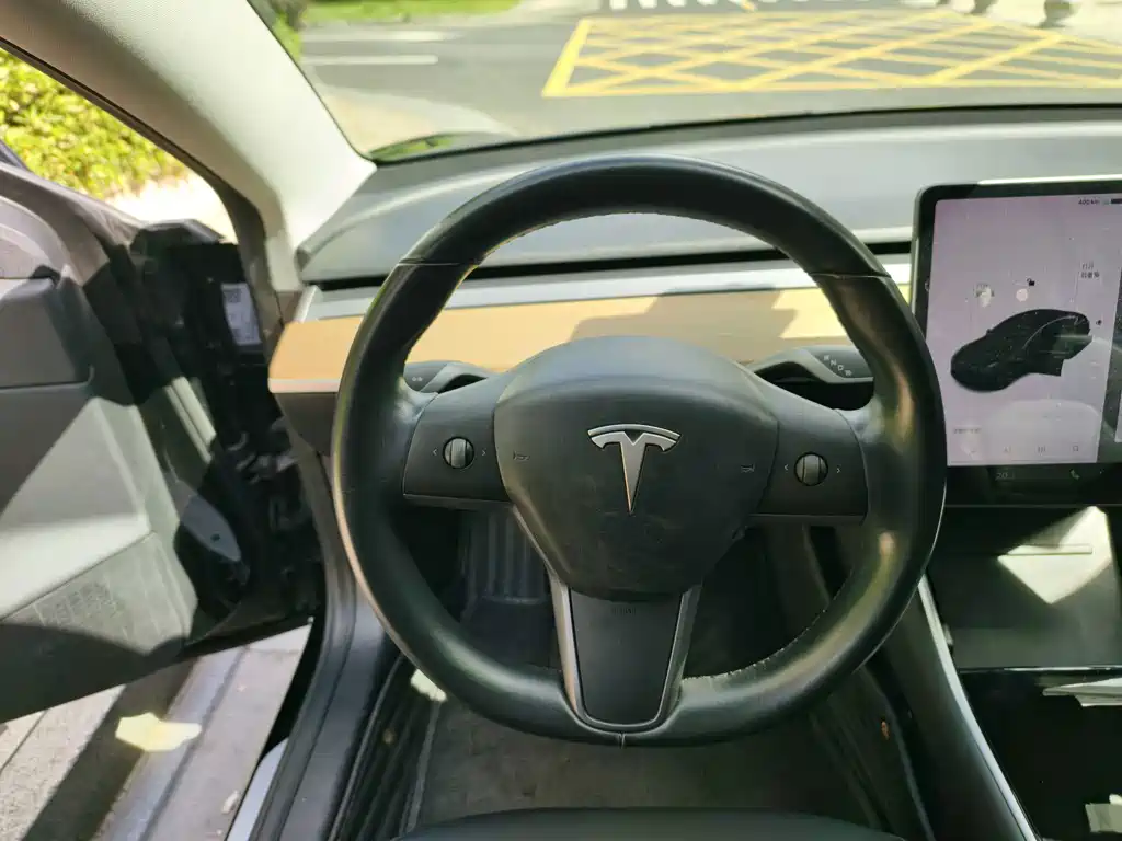 Tesla Model 3 — миниатюра 14