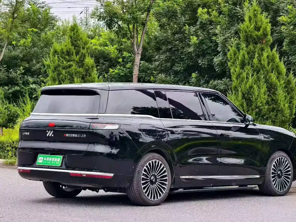 IM IM LS9 — миниатюра 4