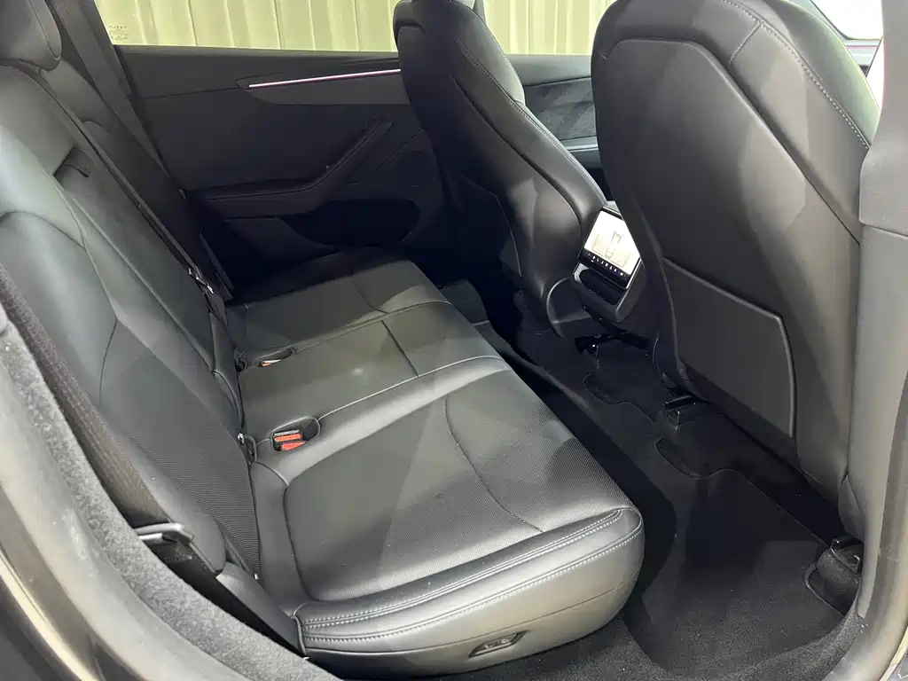 Tesla Model Y — миниатюра 10