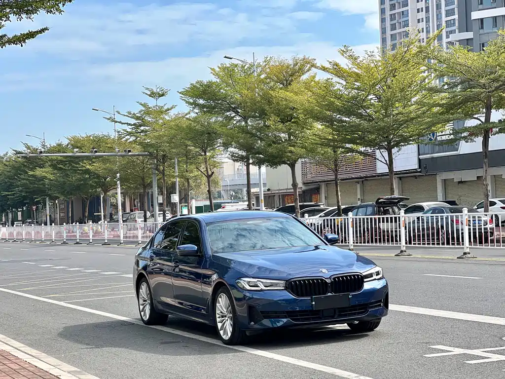 BMW 5 SERIES