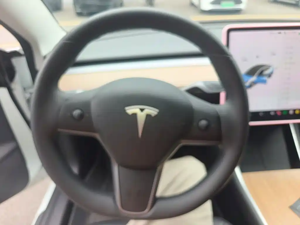 Tesla Model 3 — миниатюра 11
