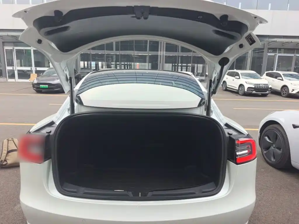 Tesla Model 3 — миниатюра 19
