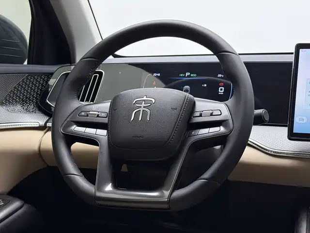 BYD Pro New Energy — миниатюра 11