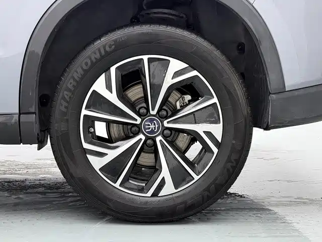 BYD Pro New Energy — миниатюра 19