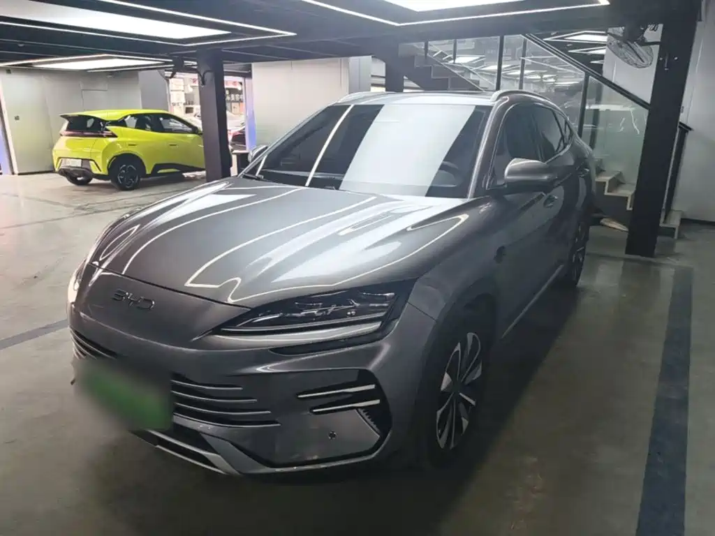 BYD PLUS New Energy — миниатюра 2