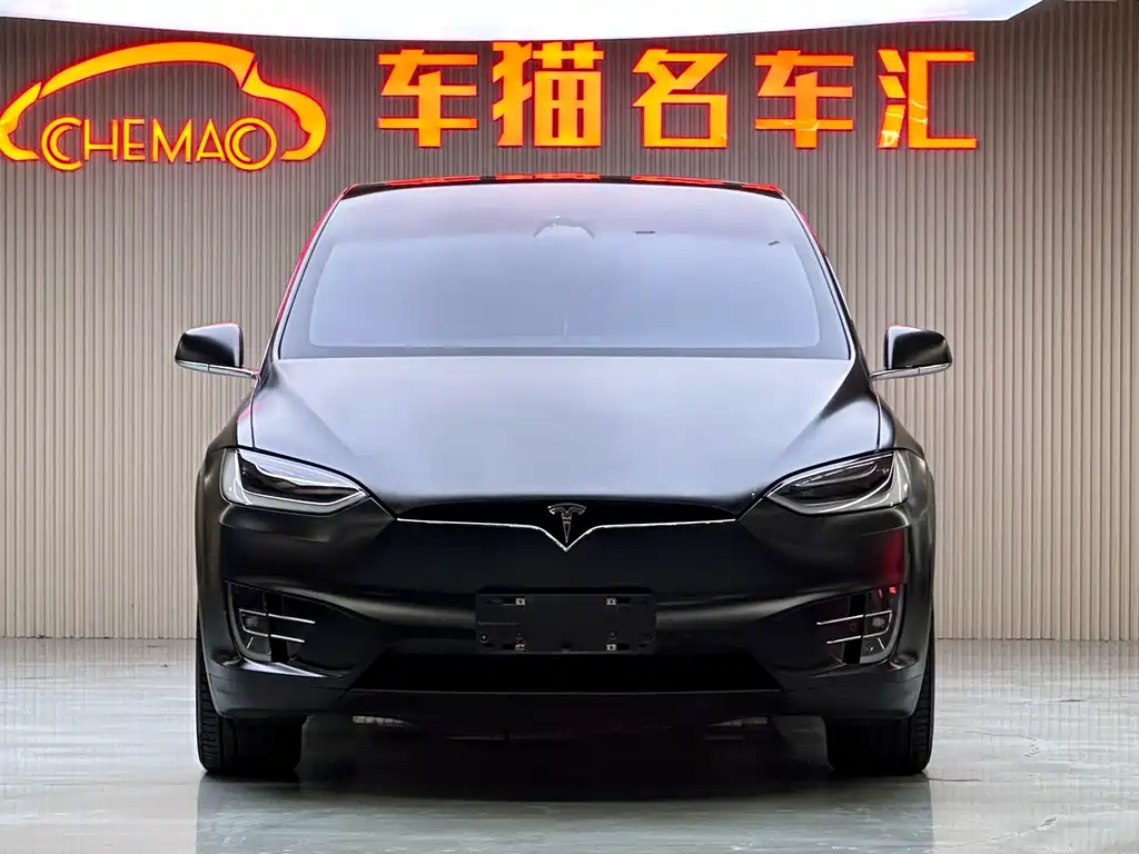 Tesla Model X — миниатюра 2