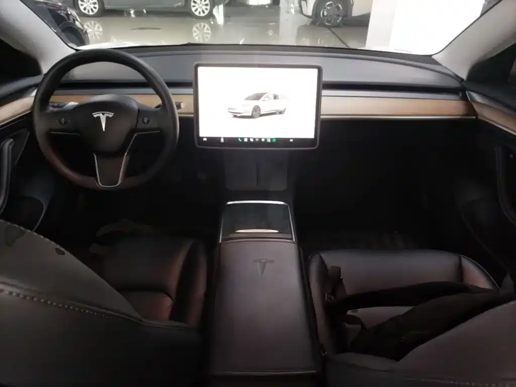 Tesla Model 3 — миниатюра 10