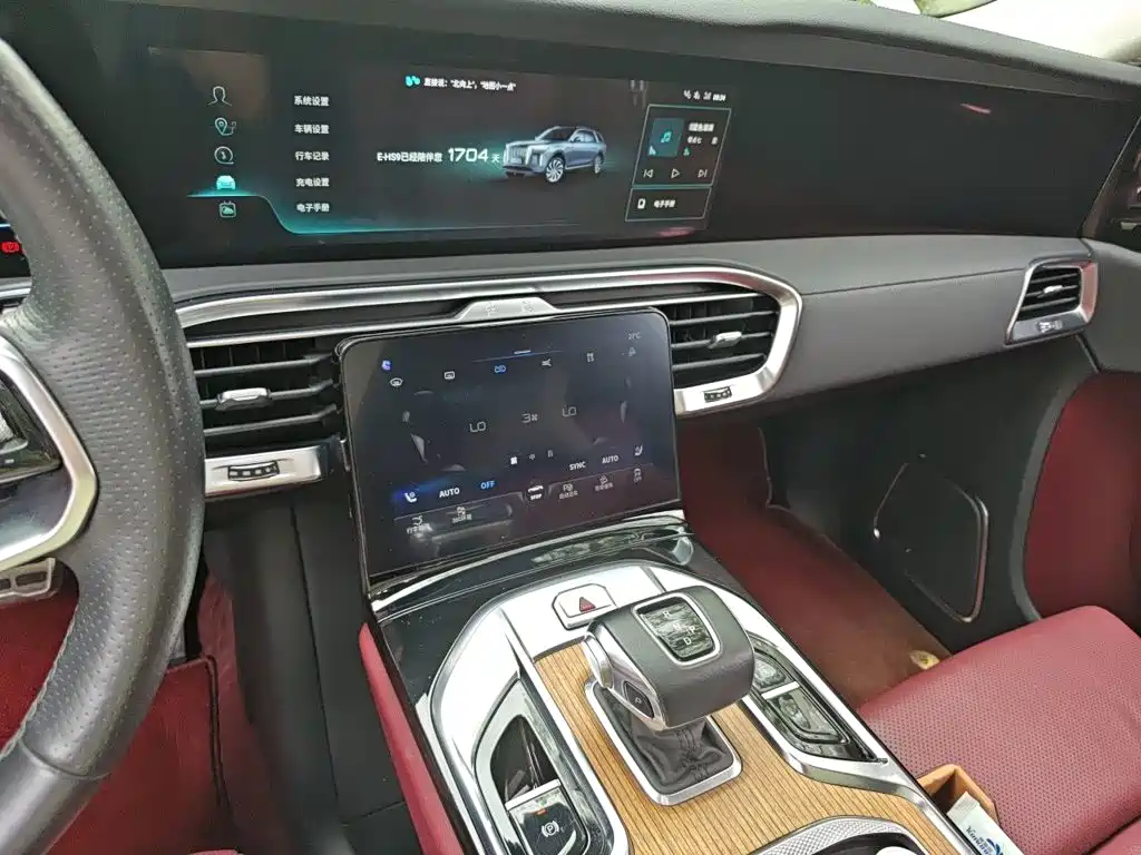 Hongqi Hongqi E-HS9 — миниатюра 9