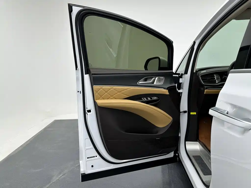 Denza Denza D9 — миниатюра 12