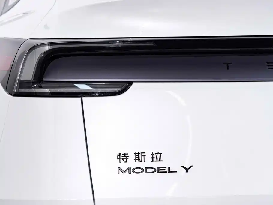 Tesla Model Y — миниатюра 11
