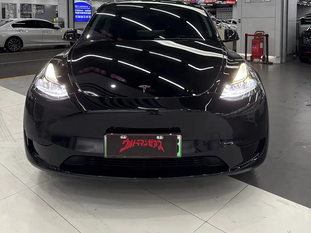 Tesla Model Y — миниатюра 2