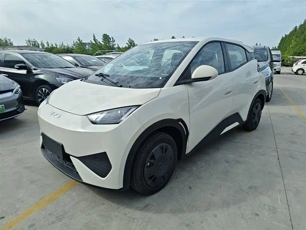 Byd Seagull 2026
