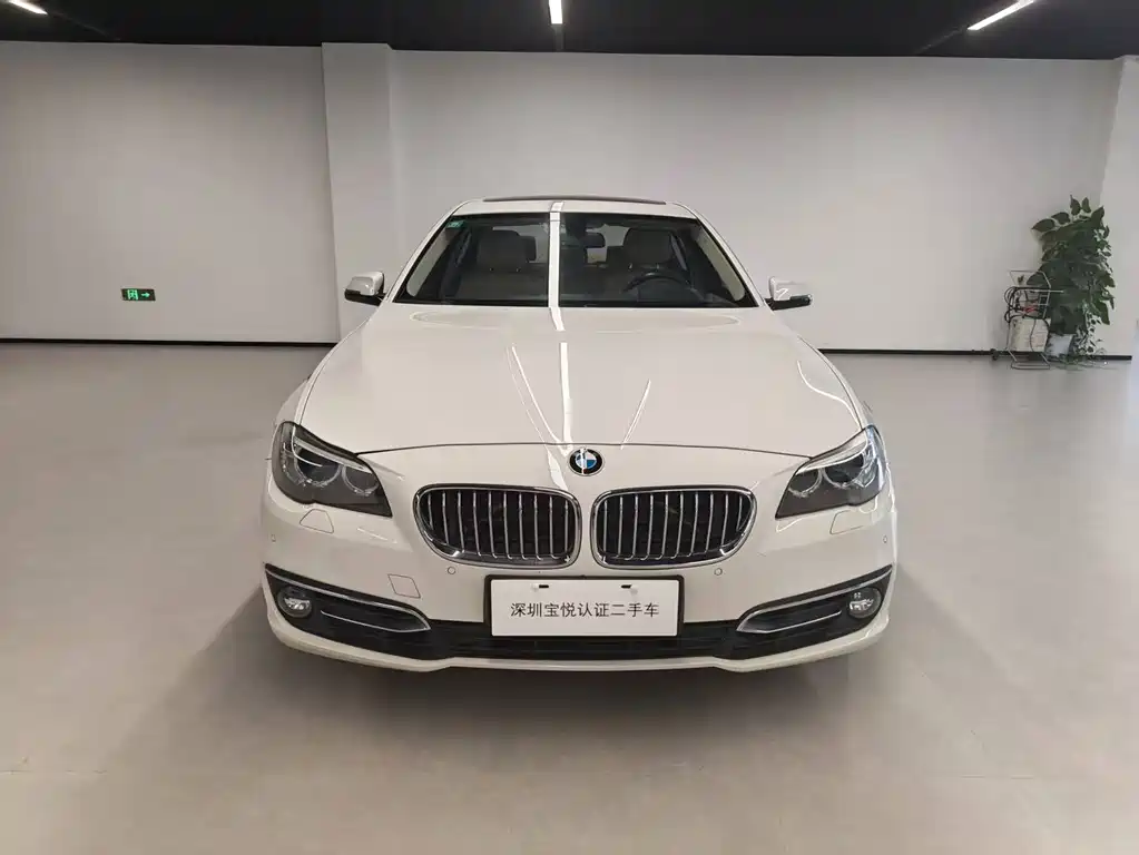 BMW 5 Series — миниатюра 2