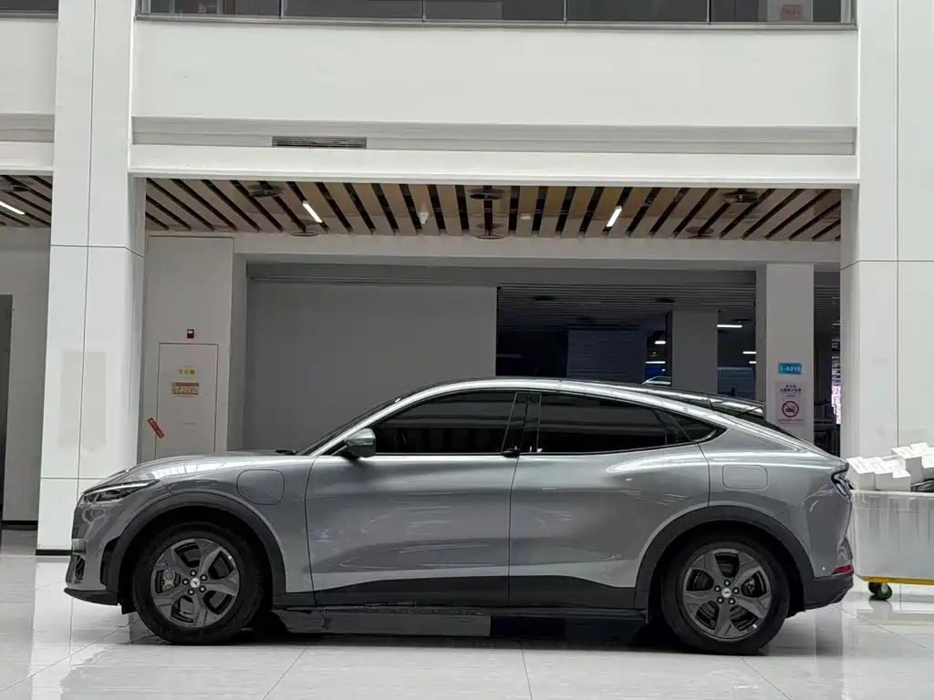 Ford Mustang Mach-E — миниатюра 8