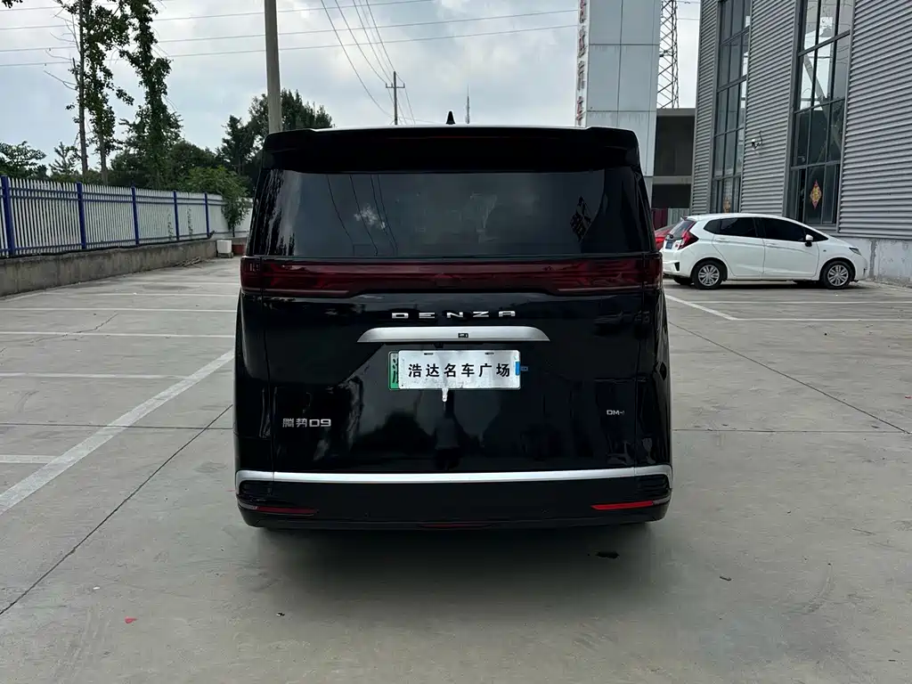Denza Denza D9 — миниатюра 8