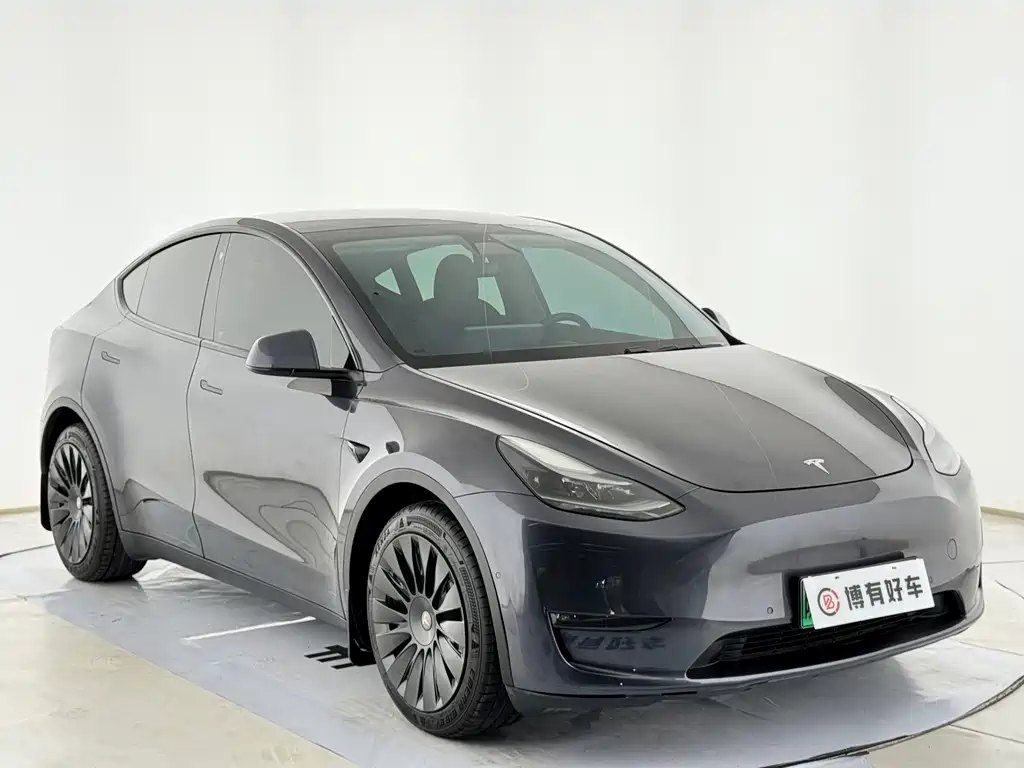 Tesla Model Y — миниатюра 4