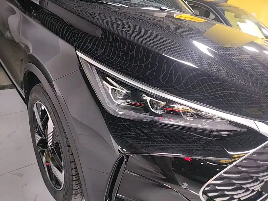 BYD Tang New Energy — миниатюра 11
