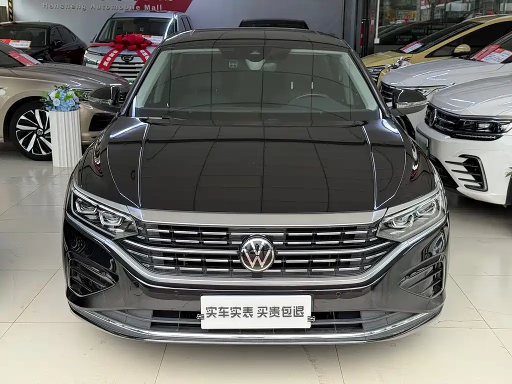 Volkswagen Passat — миниатюра 2