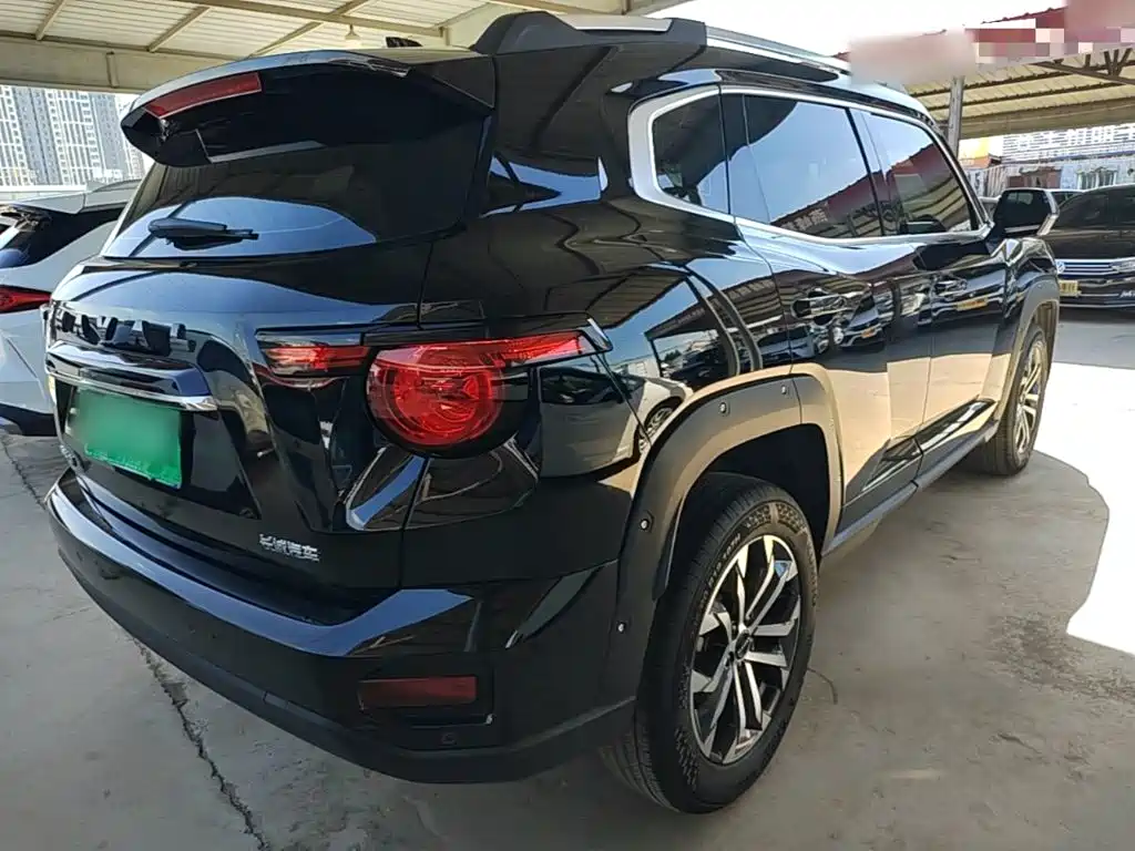Haval Big Dog PLUS — миниатюра 7