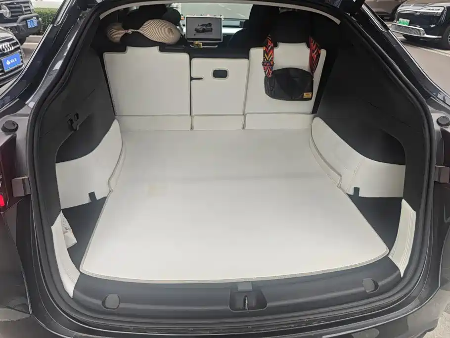 Tesla Model Y — миниатюра 4
