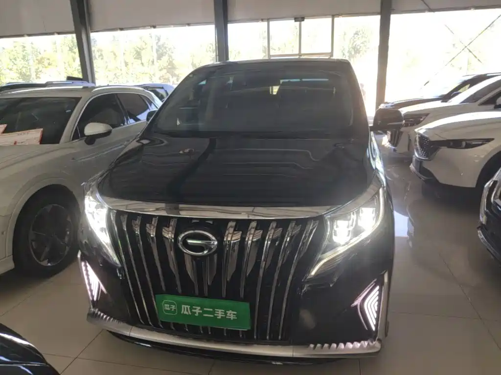 GAC Motor Trumpchi M8 — миниатюра 3