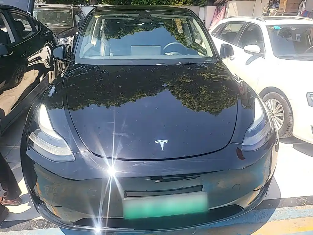 Tesla Model Y — миниатюра 3