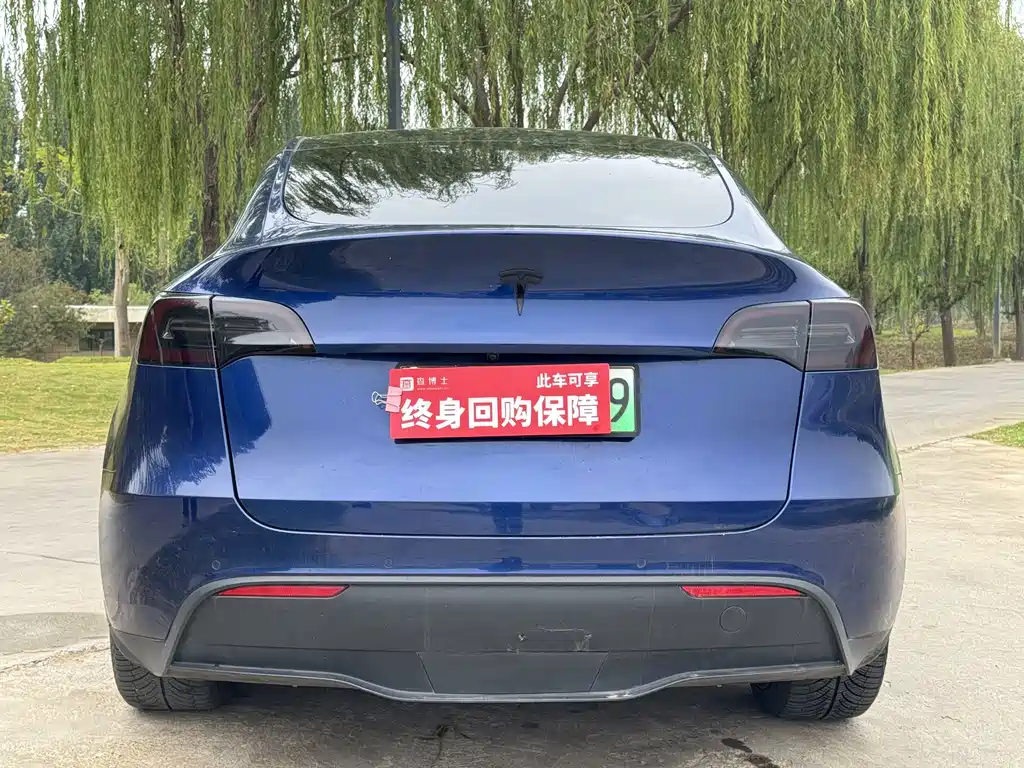 Tesla Model Y — миниатюра 12