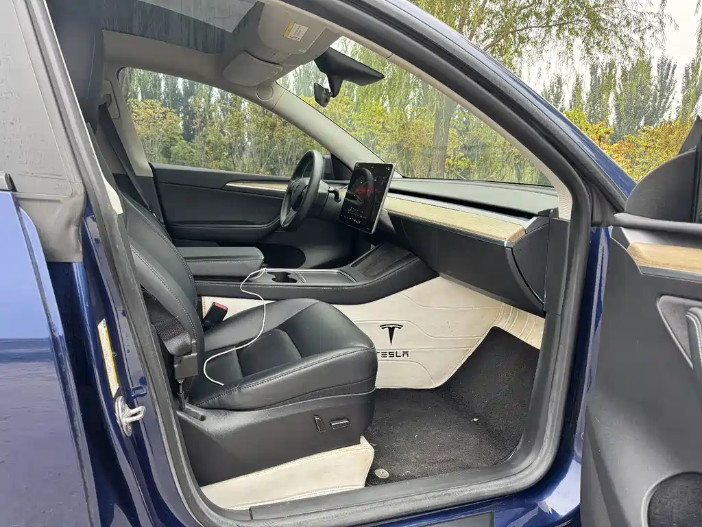 Tesla Model Y — миниатюра 6