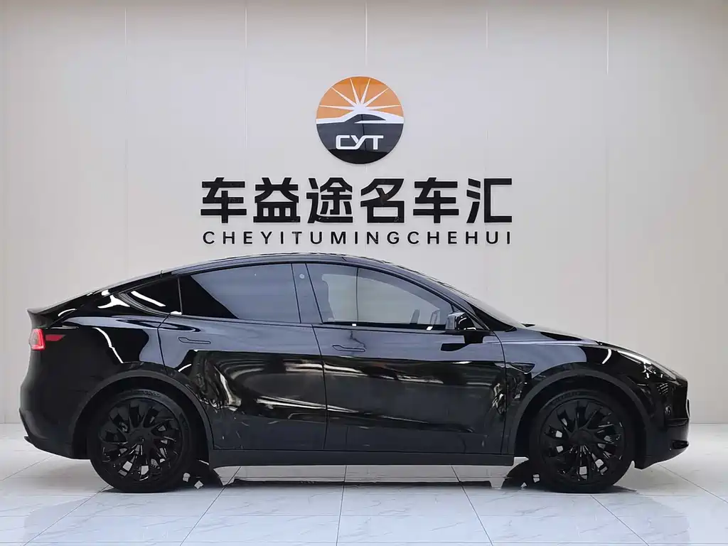 Tesla Model Y — миниатюра 28