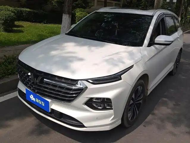 2020 Wuling Motors Victory