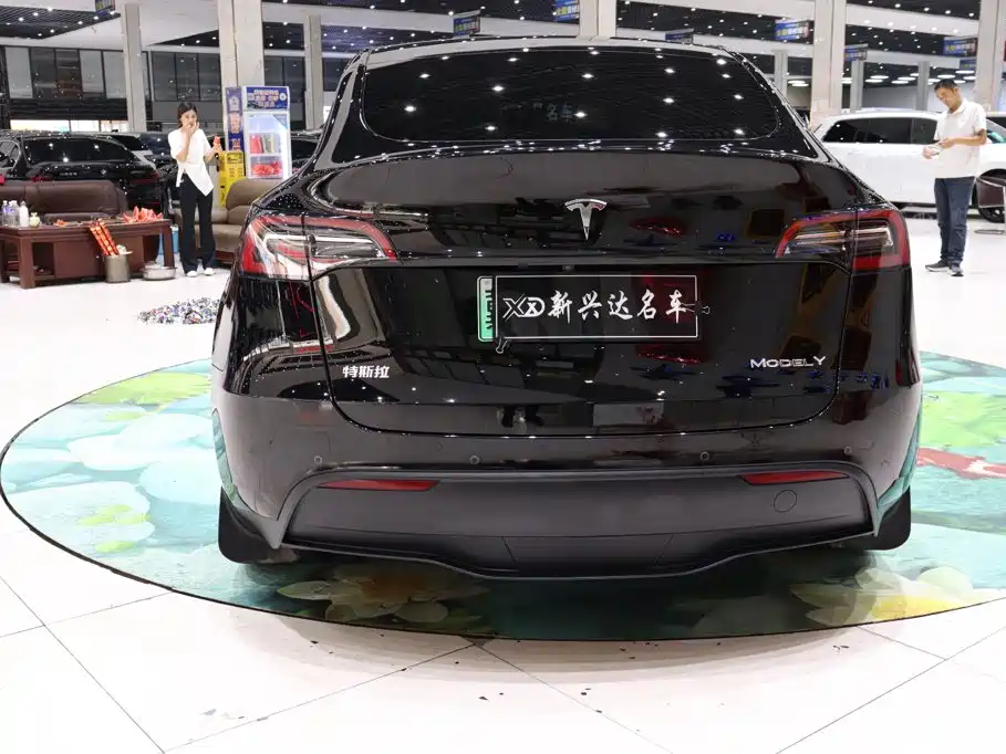 Tesla Model Y — миниатюра 5