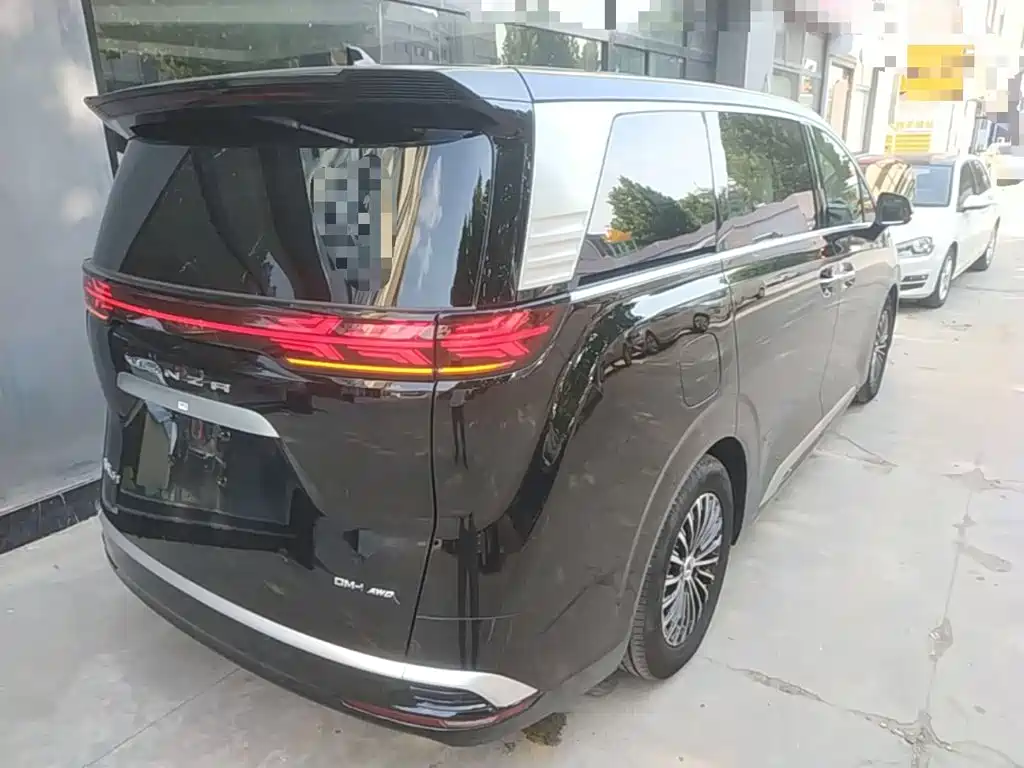Denza Denza D9 — миниатюра 7