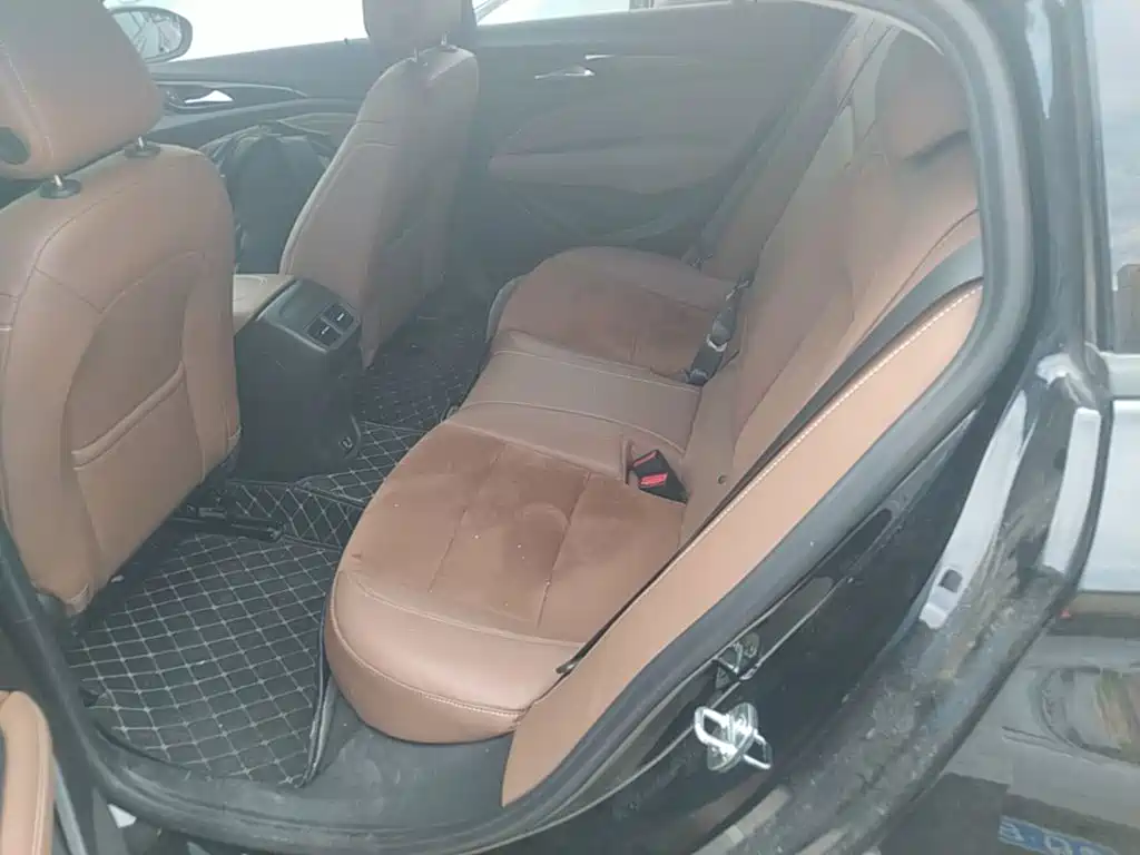 Buick Regal — миниатюра 17