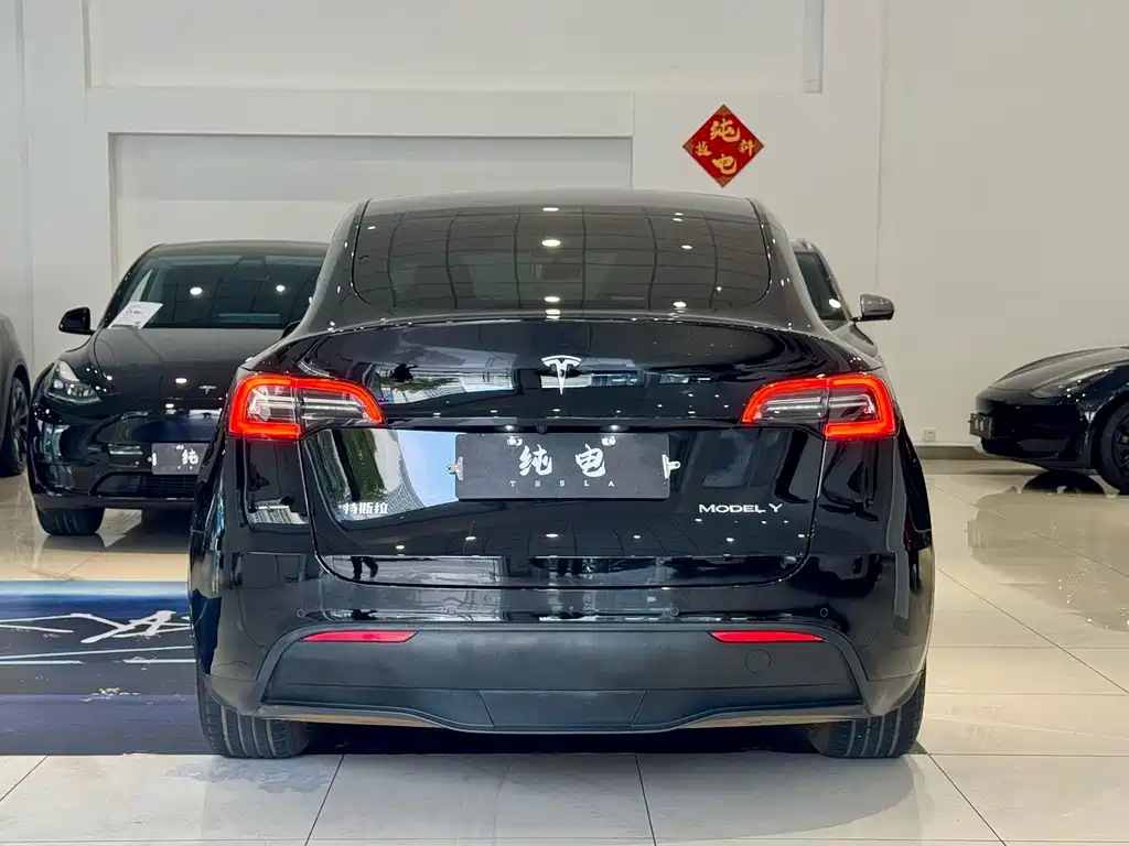 Tesla Model Y — миниатюра 15