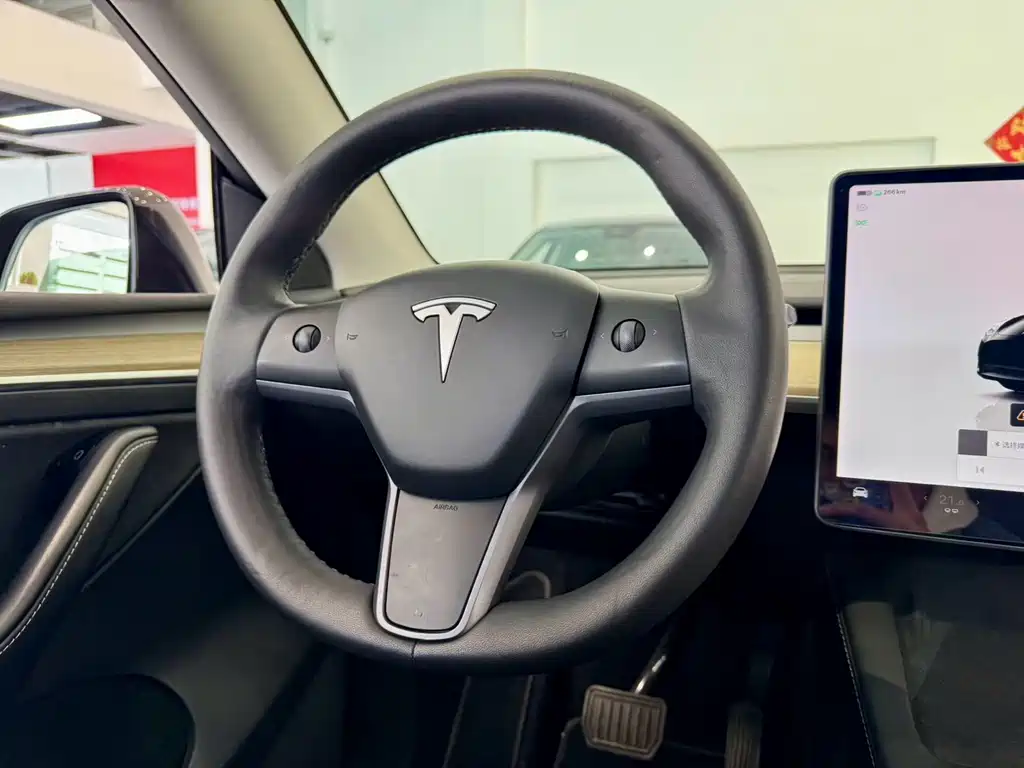 Tesla Model Y — миниатюра 11