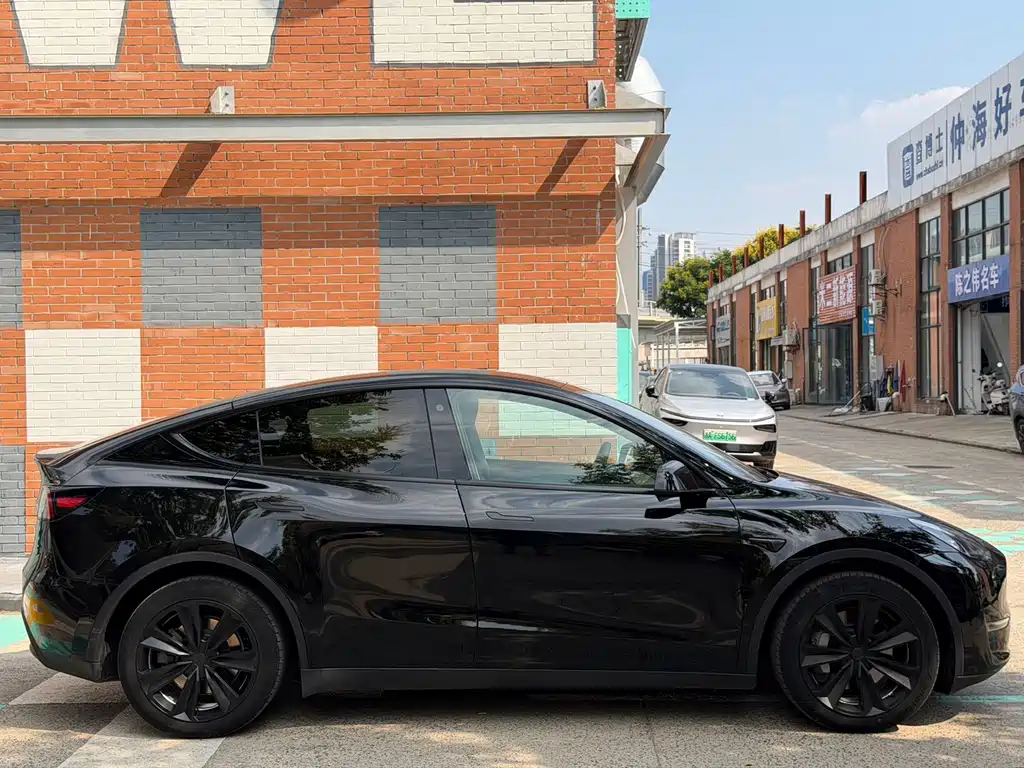Tesla Model Y — миниатюра 3