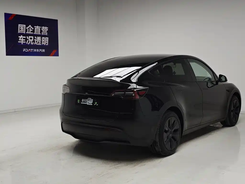 Tesla Model Y — миниатюра 4