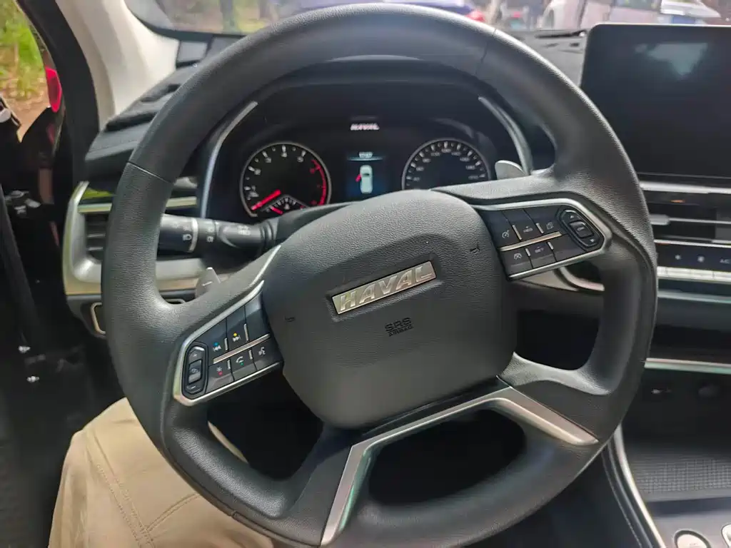 Haval H6 — миниатюра 11