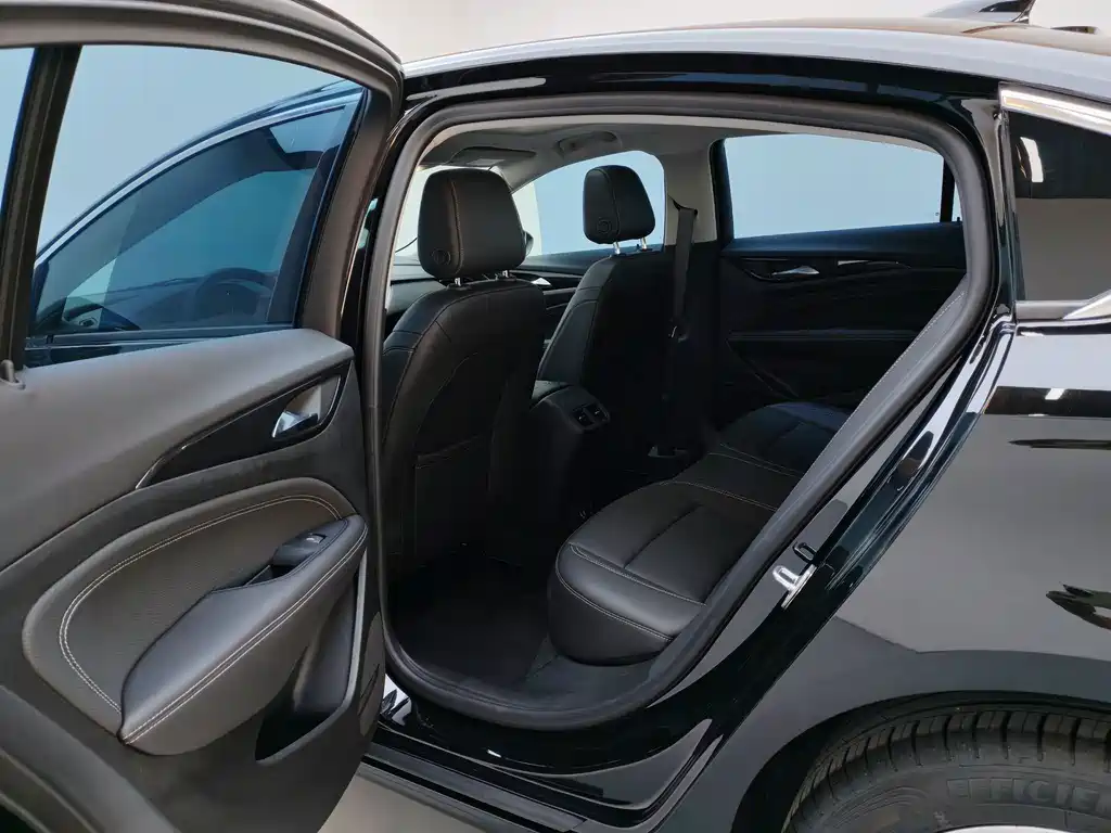 Buick Regal — миниатюра 8