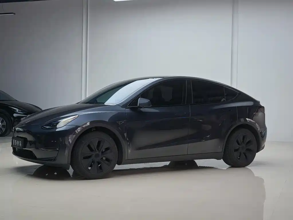 Tesla Model Y — миниатюра 2
