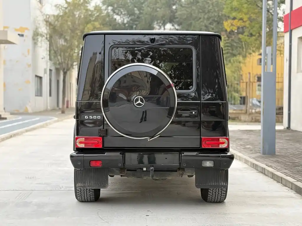 Mercedes-Benz G-Class G 2010 G 500
