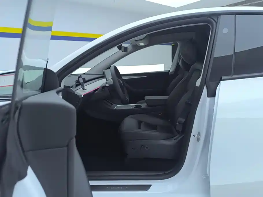 Tesla Model Y — миниатюра 9