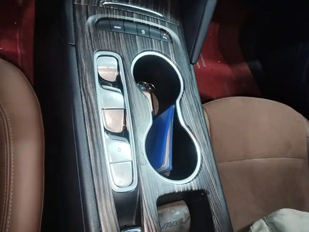 Buick Regal — миниатюра 14