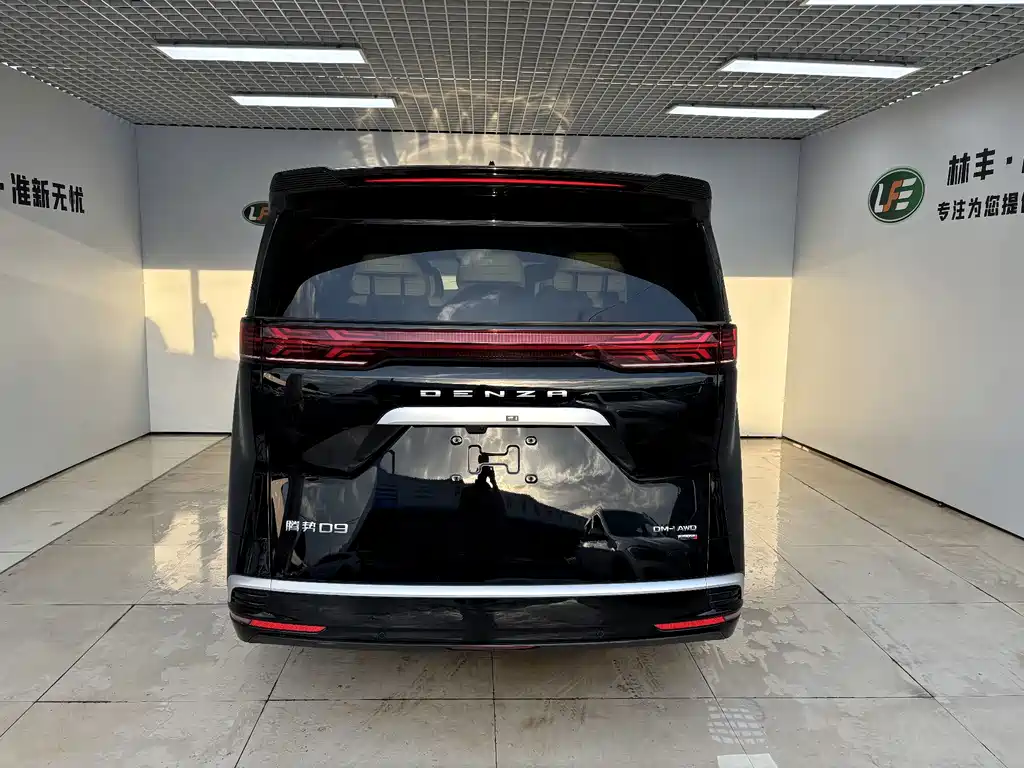 Denza Denza D9 — миниатюра 5