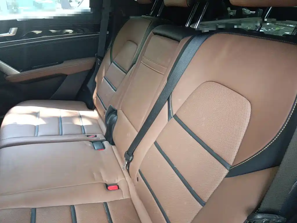 BYD Tang New Energy — миниатюра 18