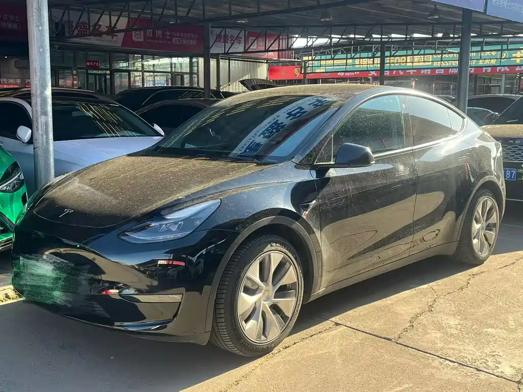 Tesla Model Y 2021