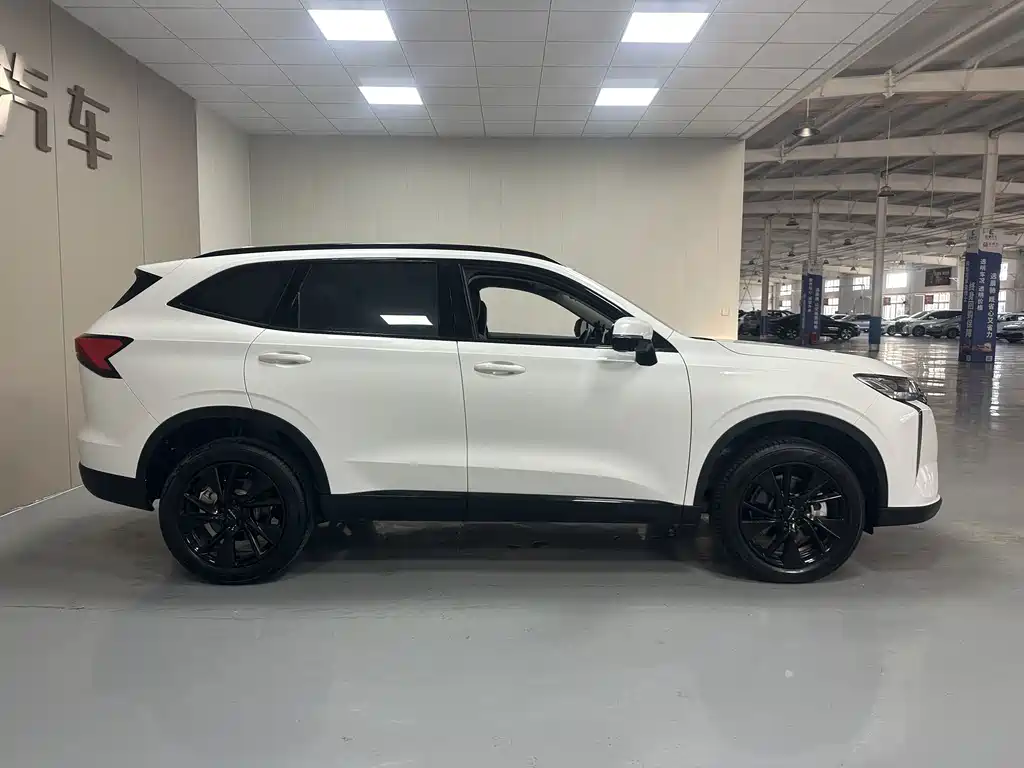 Haval H6 — миниатюра 8